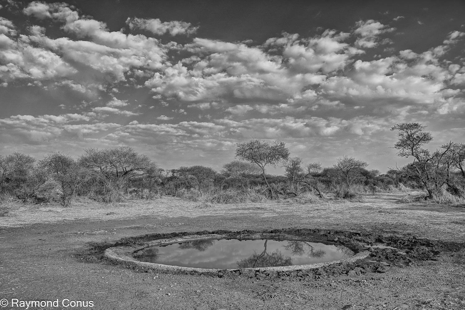 Paysages botswanais (11)