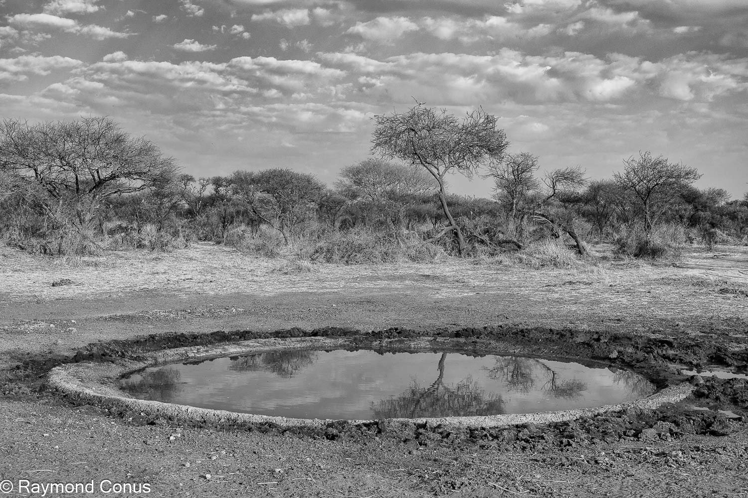 Paysages botswanais (12)