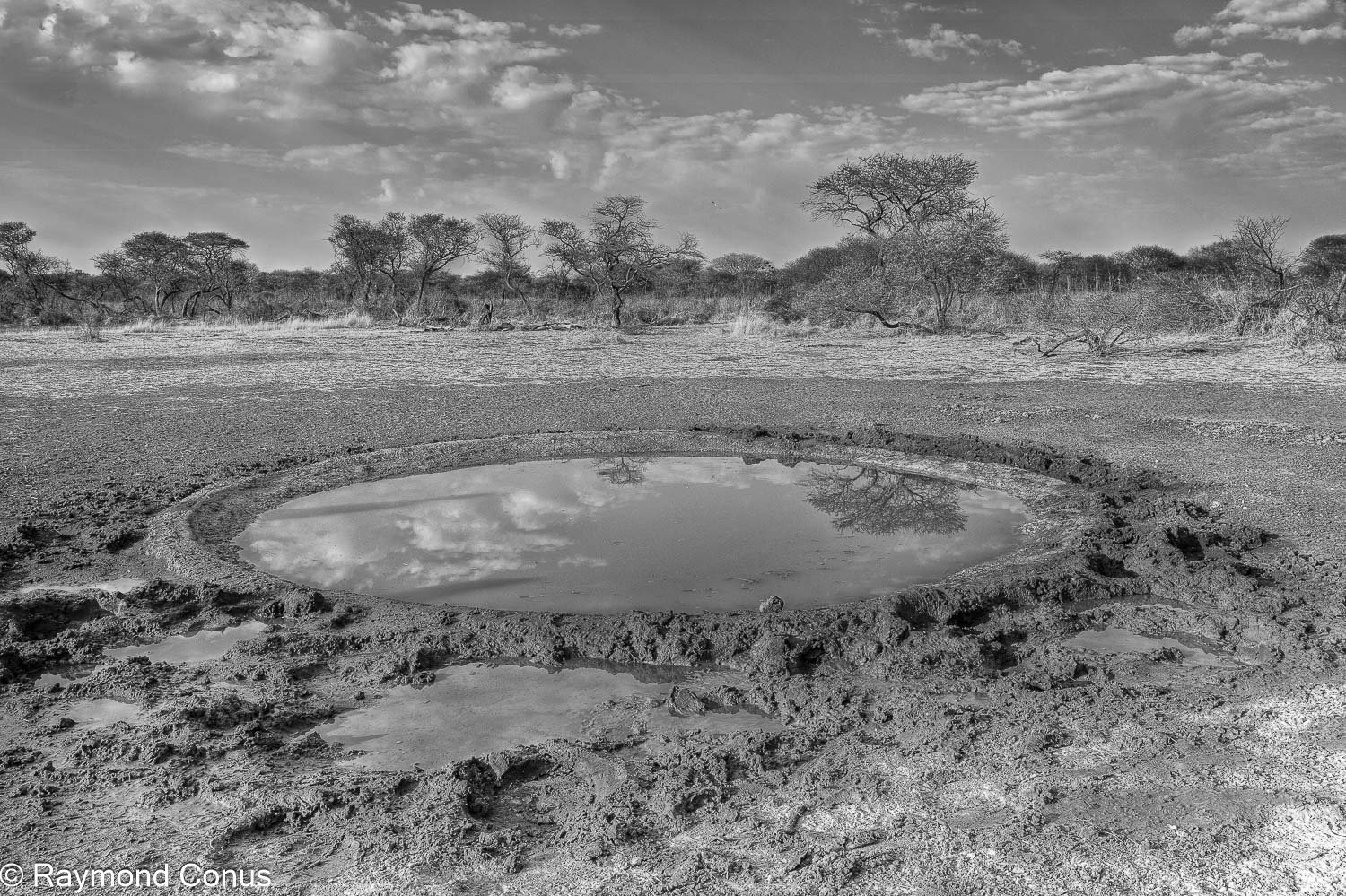 Paysages botswanais (15)