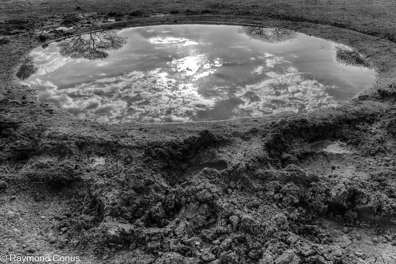 Paysages botswanais (16)