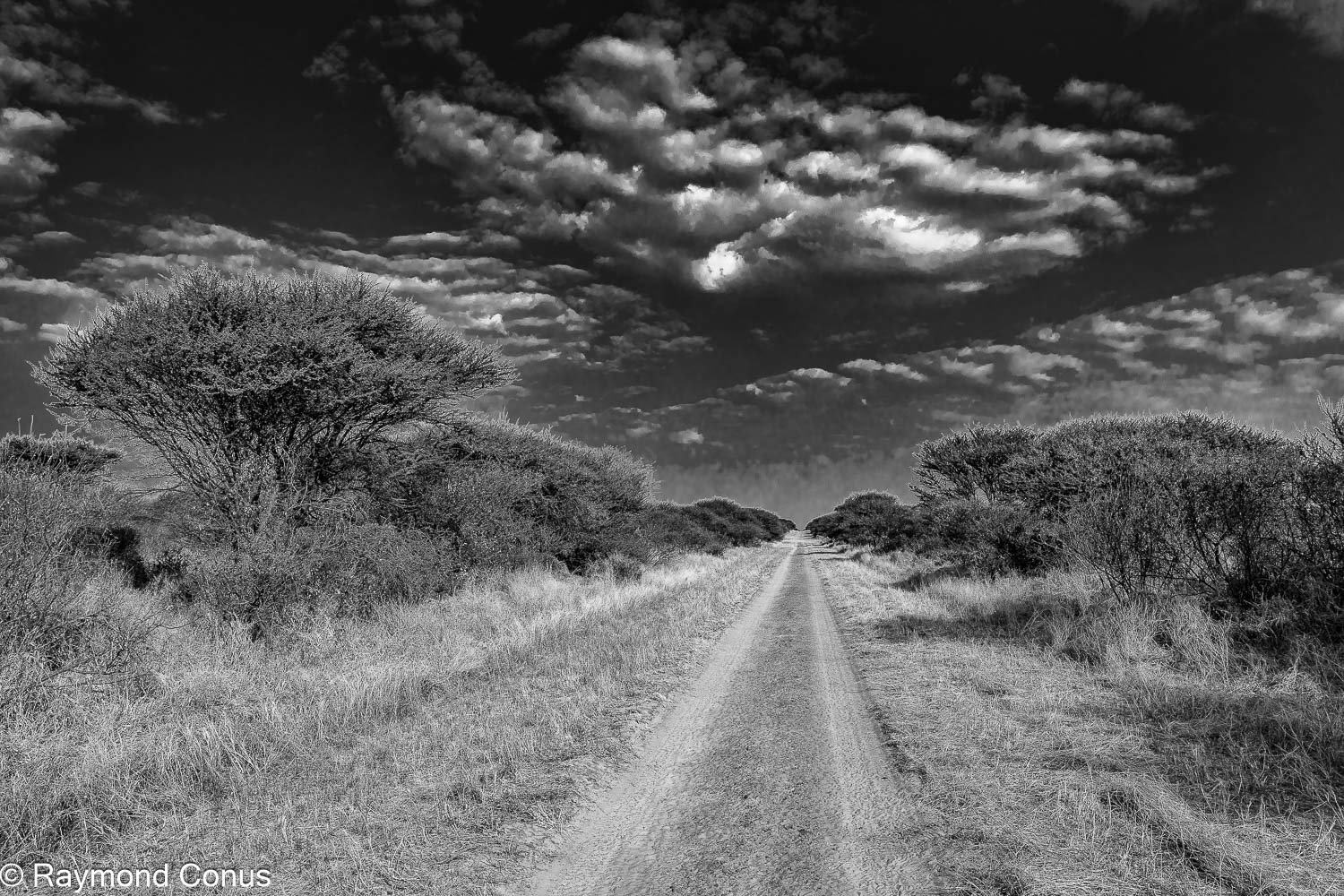 Paysages botswanais (19)