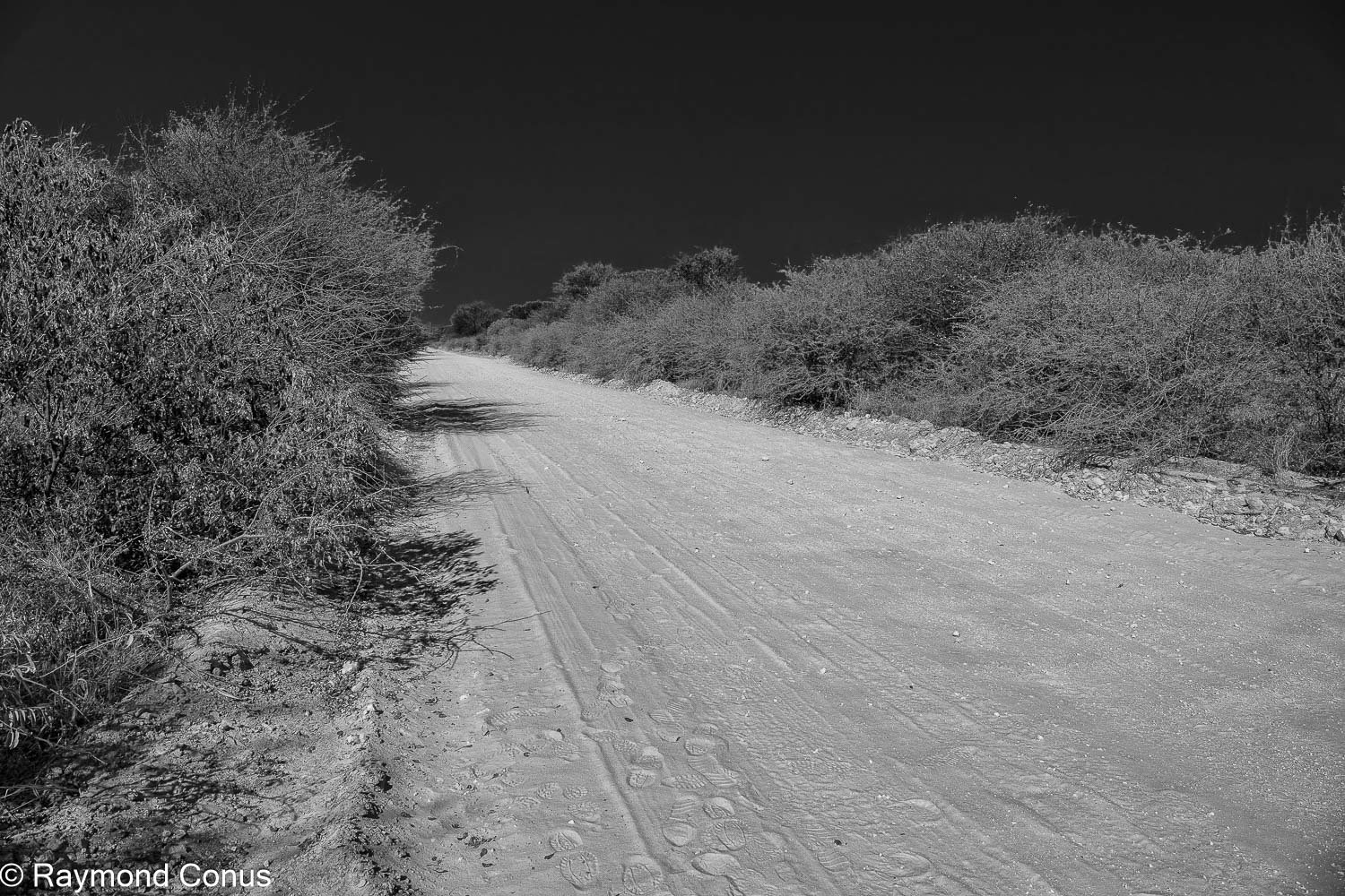 Paysages botswanais (1)