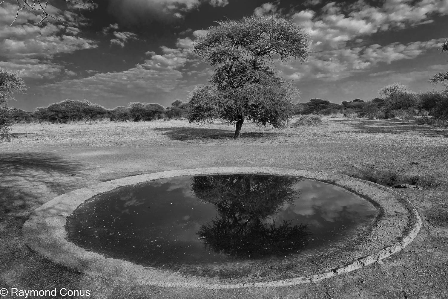 Paysages botswanais (22)