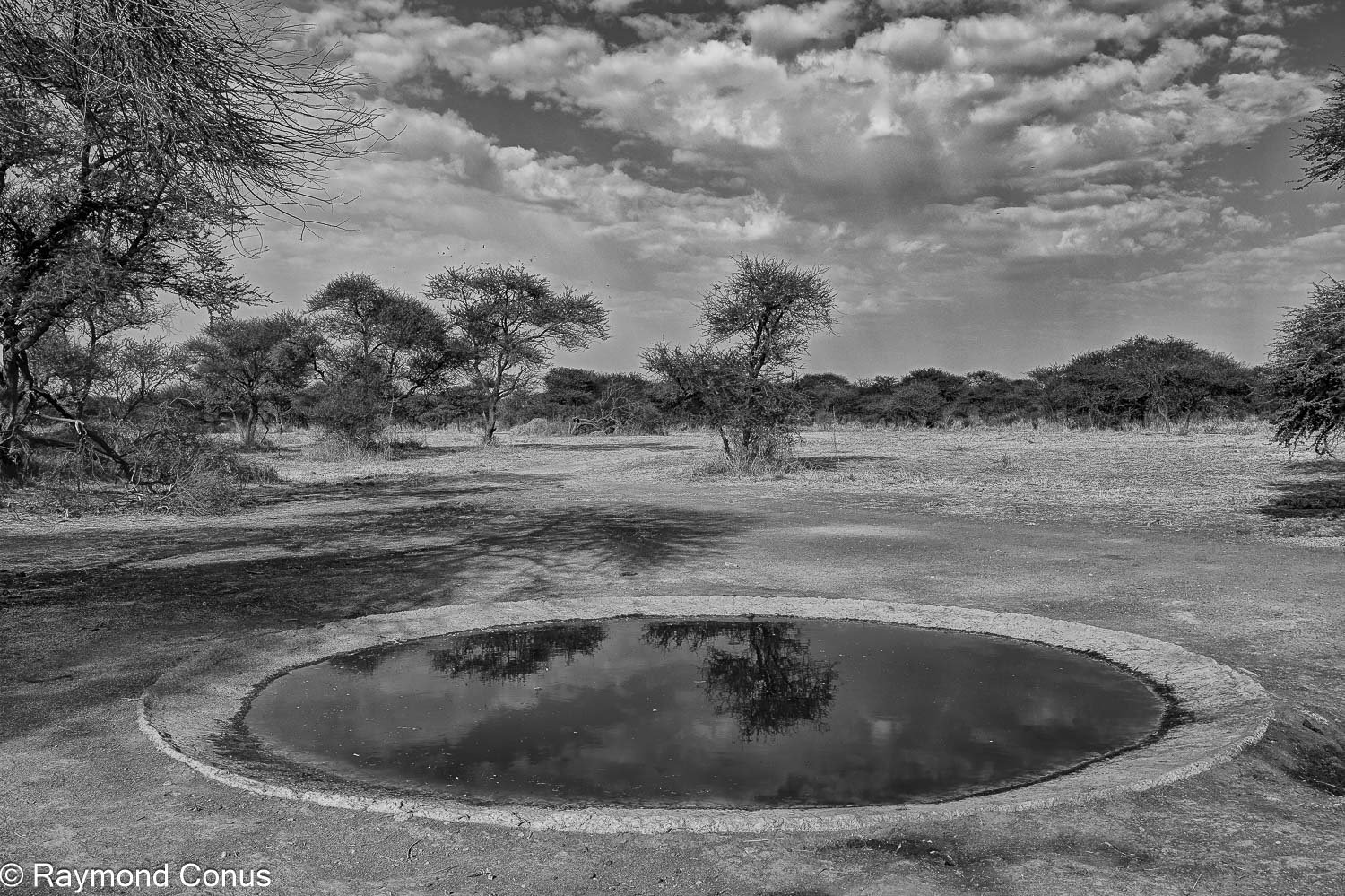 Paysages botswanais (23)