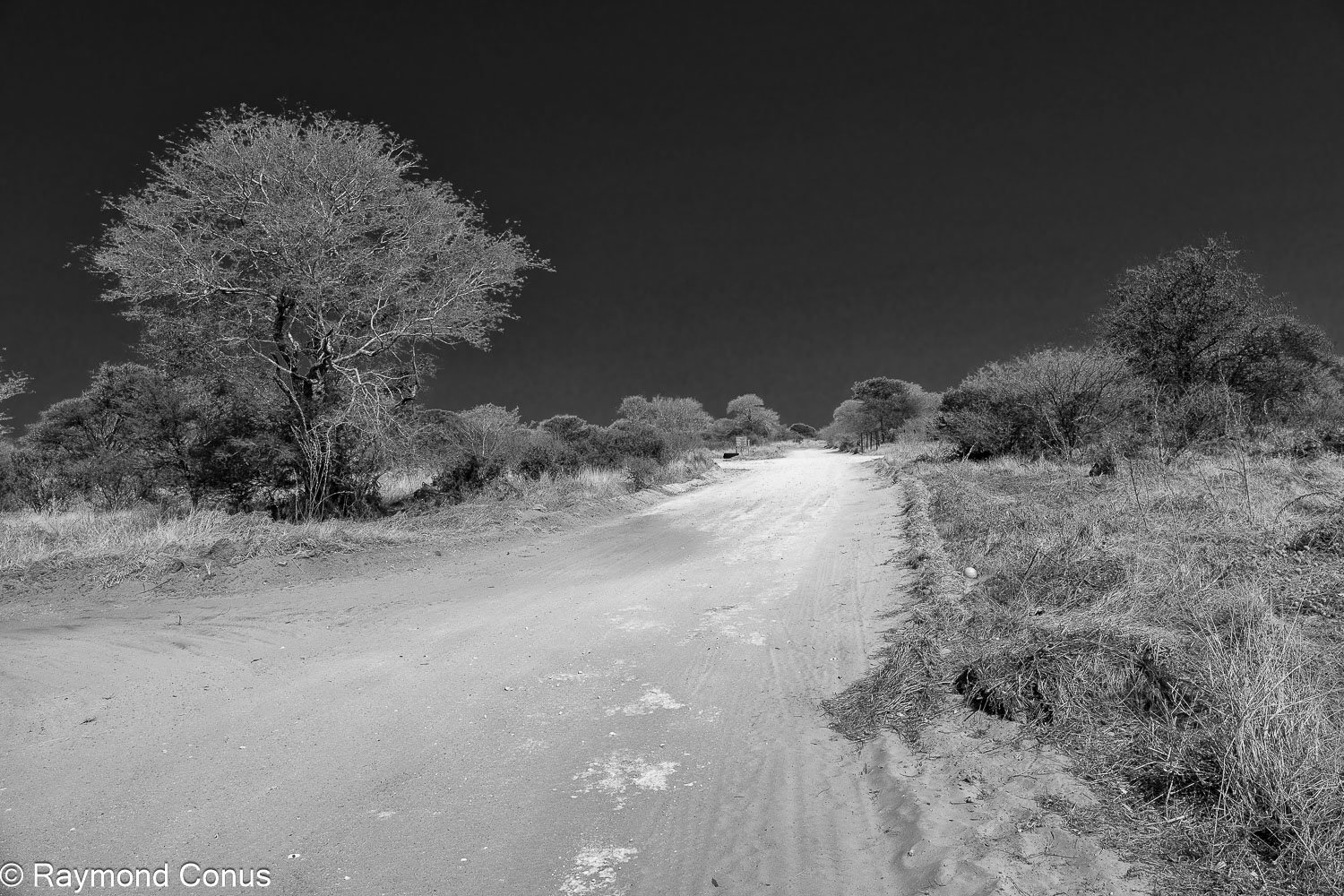 Paysages botswanais (24)