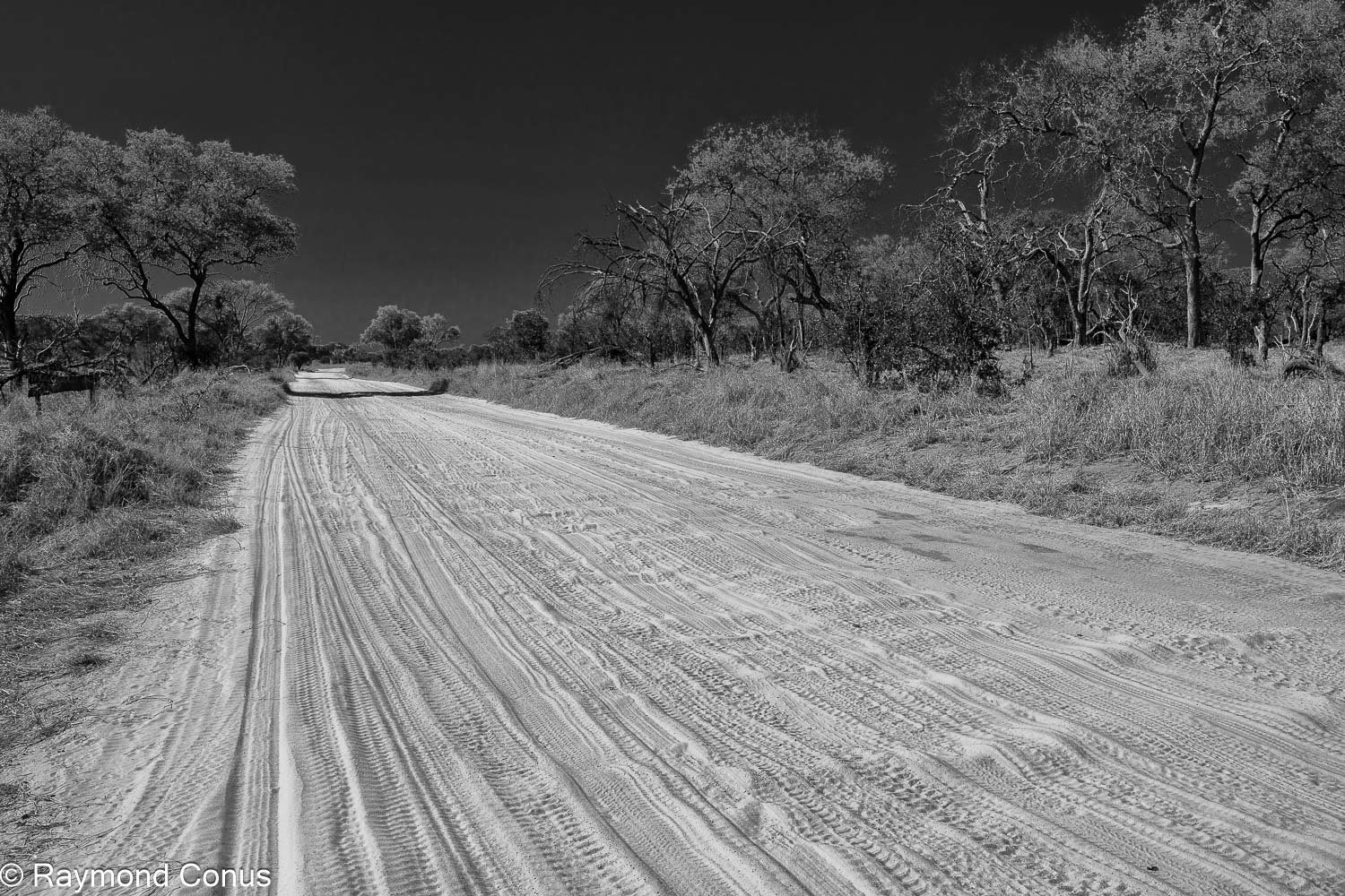 Paysages botswanais (25)