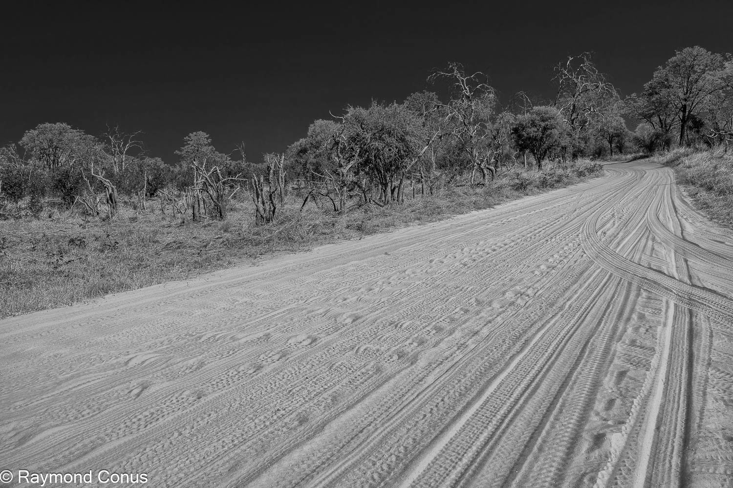 Paysages botswanais (26)