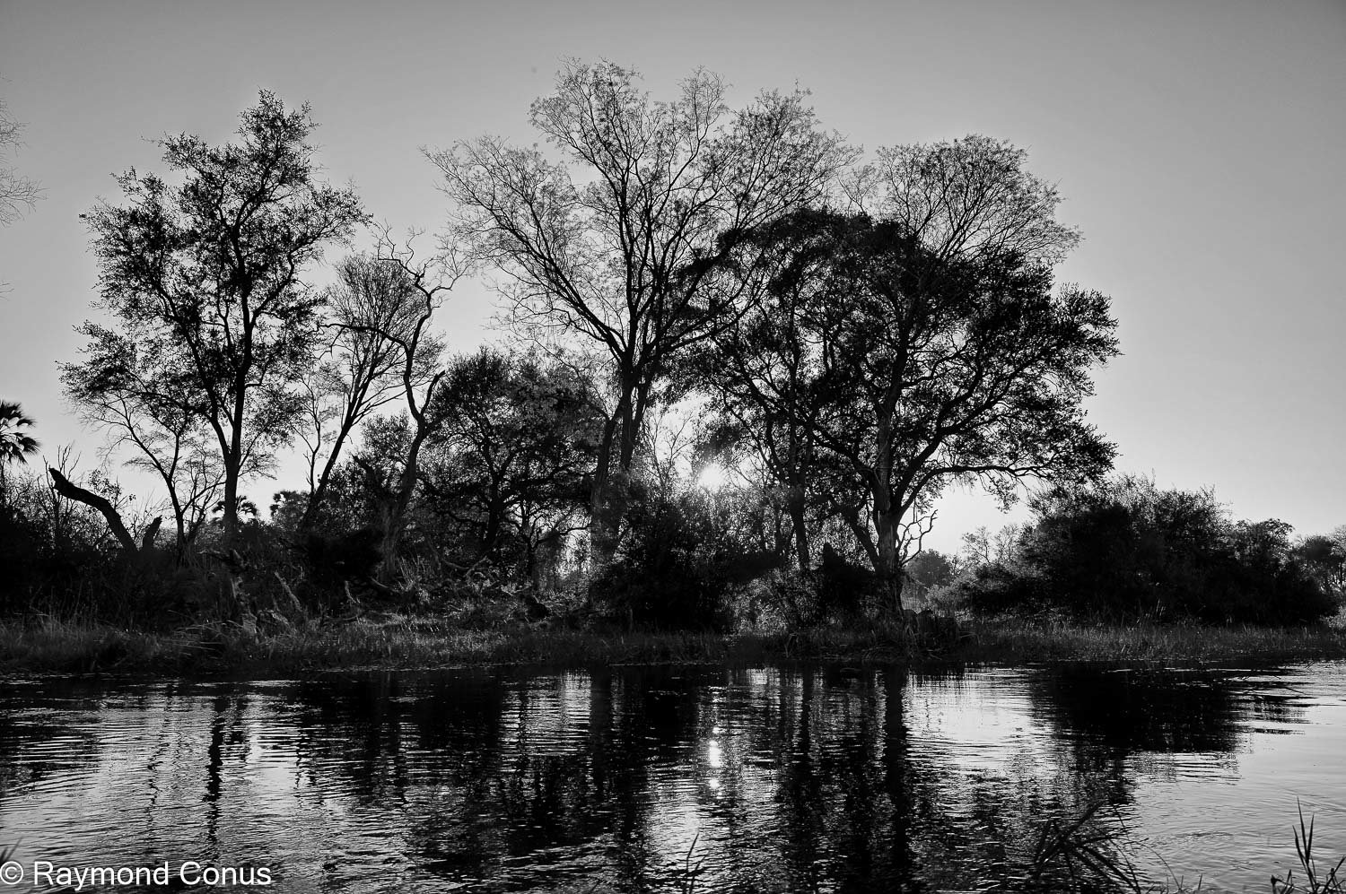 Paysages botswanais (28)