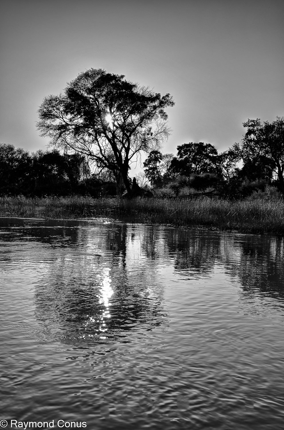 Paysages botswanais (29)