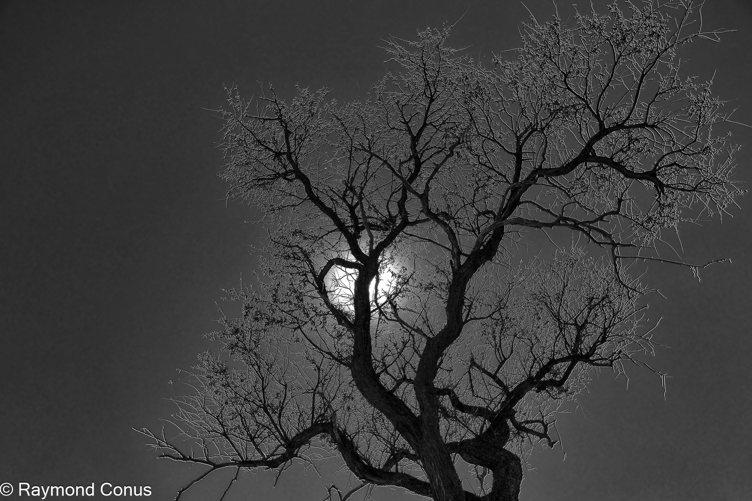 Paysages botswanais (2)