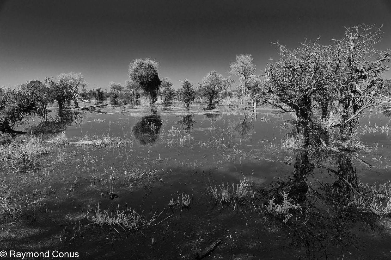 Paysages botswanais (31)