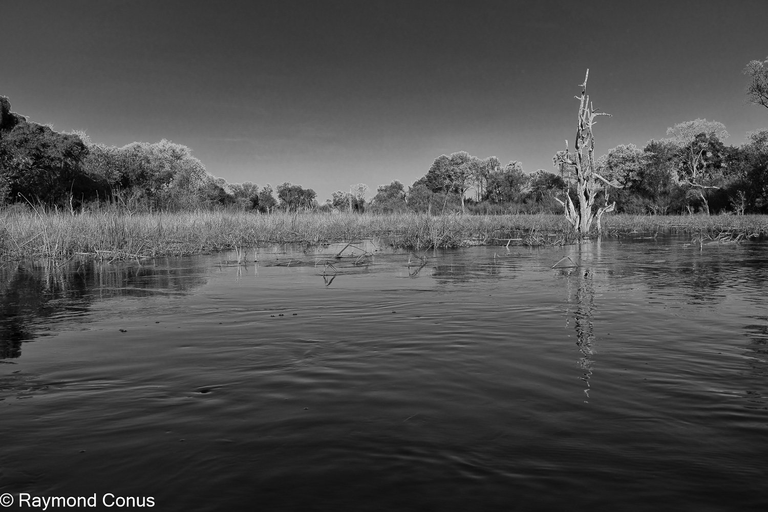 Paysages botswanais (33)