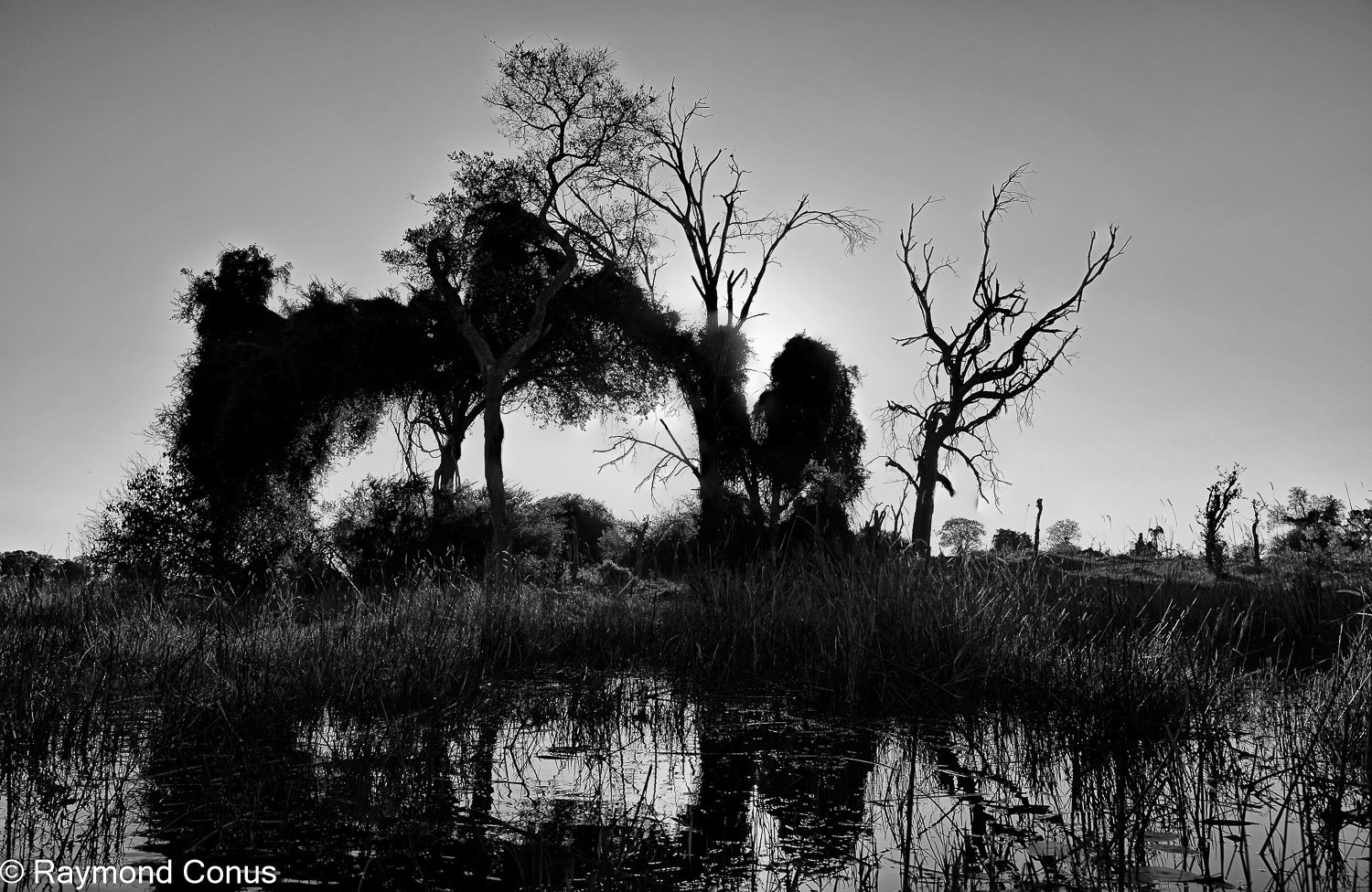 Paysages botswanais (34)