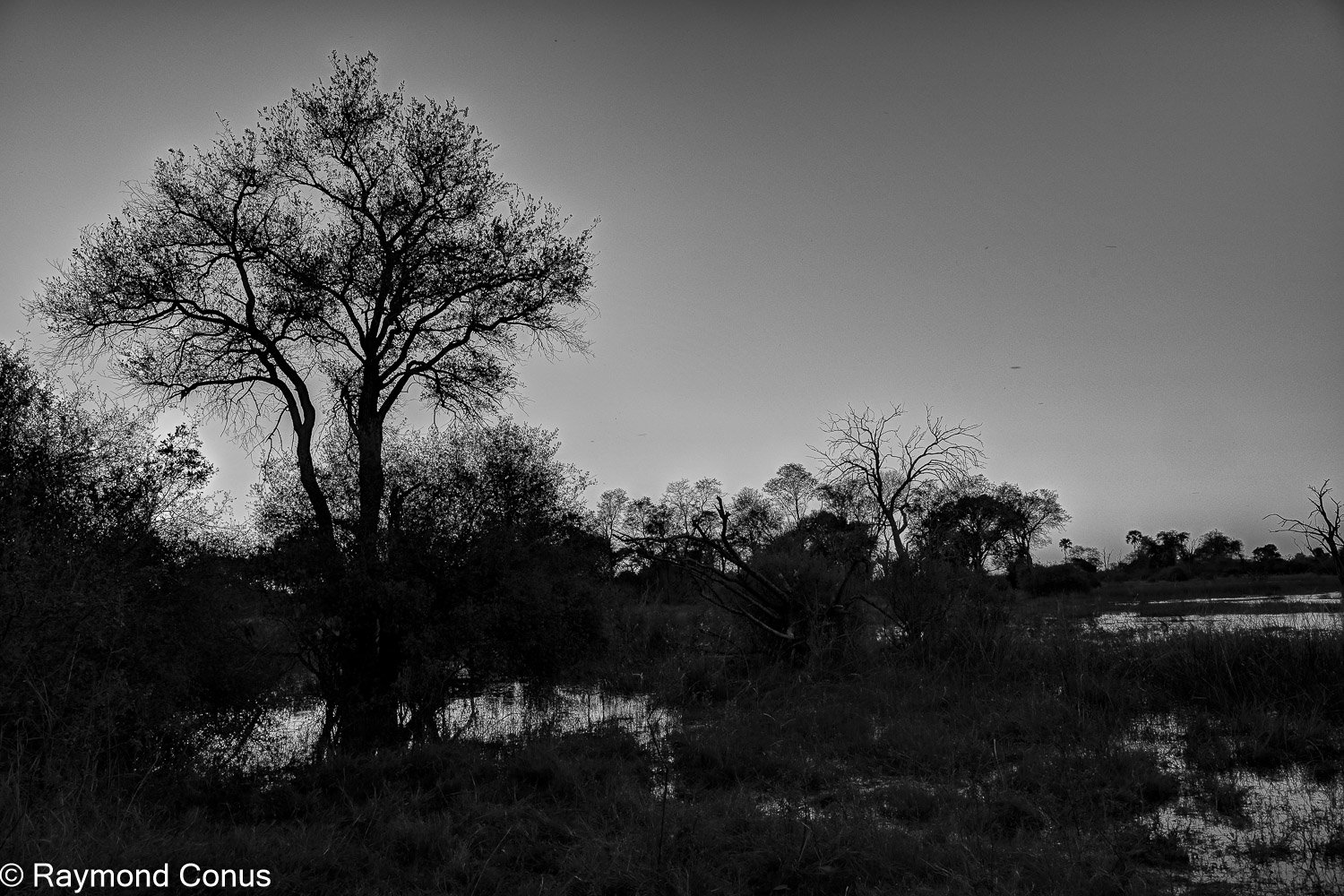 Paysages botswanais (35)