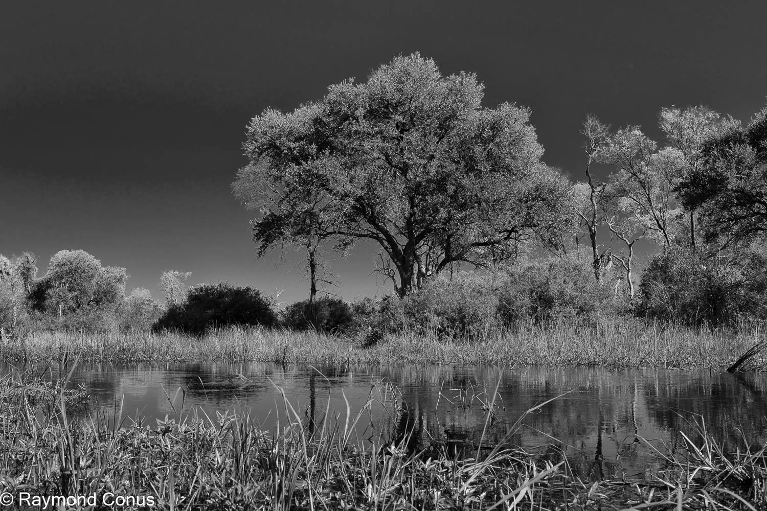 Paysages botswanais (36)