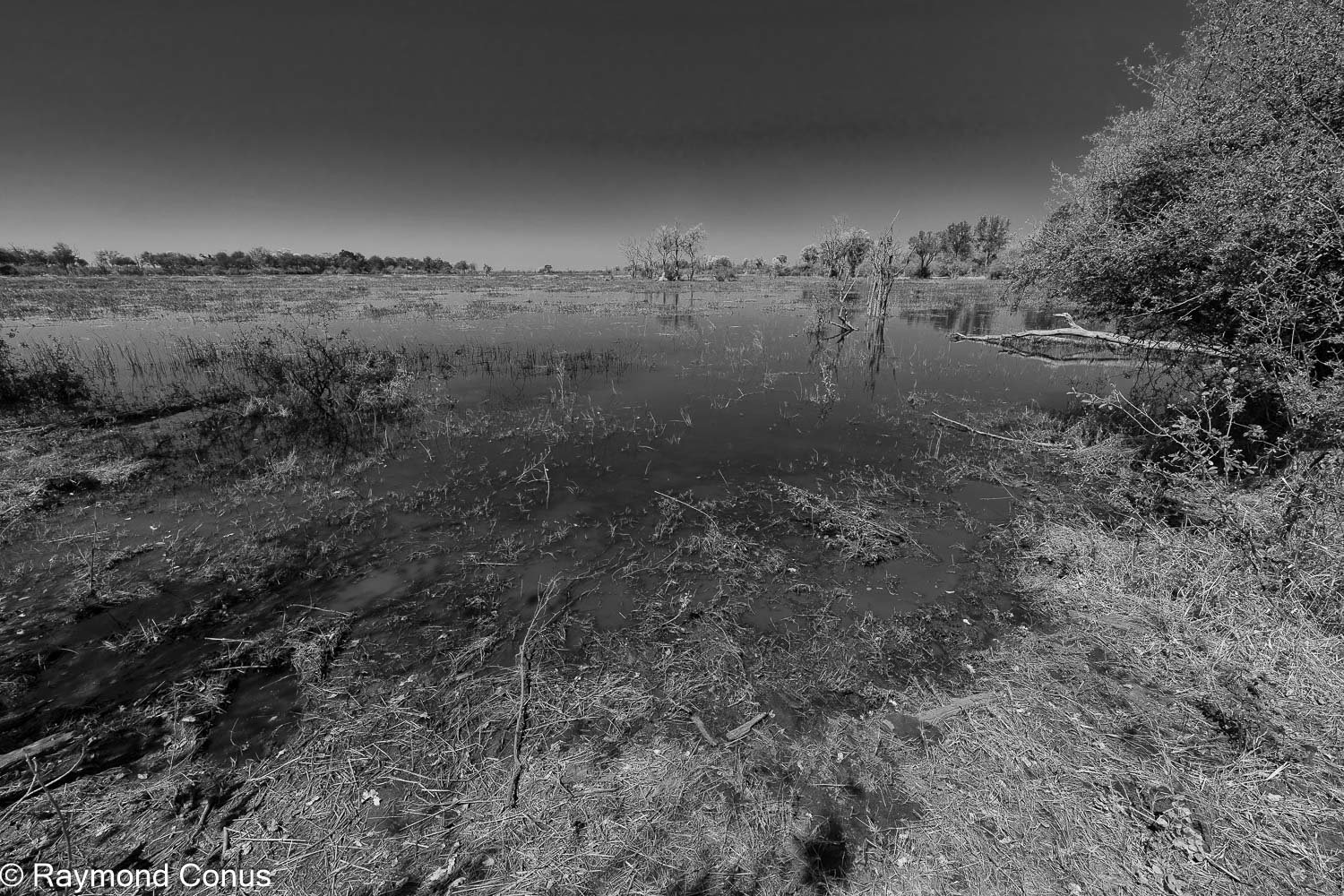 Paysages botswanais (37)