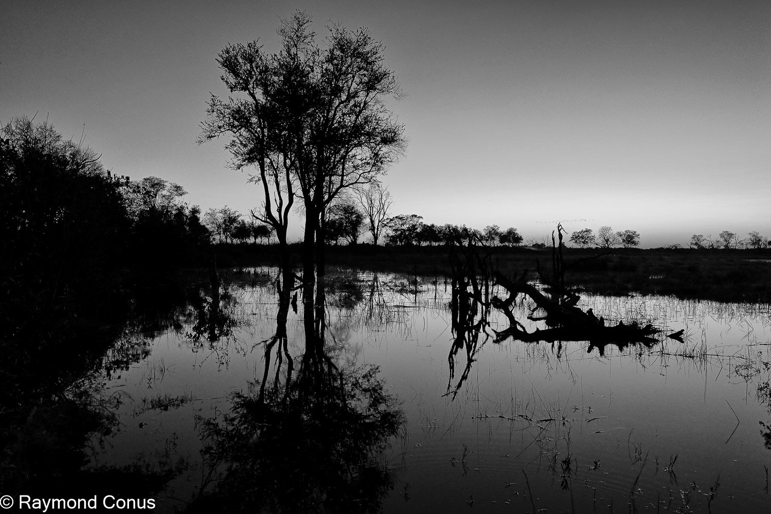 Paysages botswanais (39)