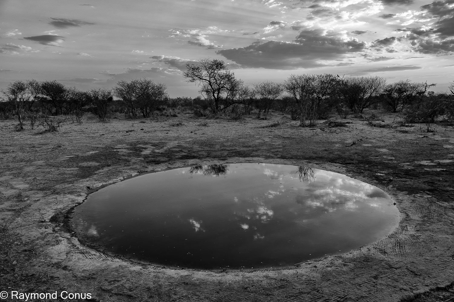 Paysages botswanais (3)