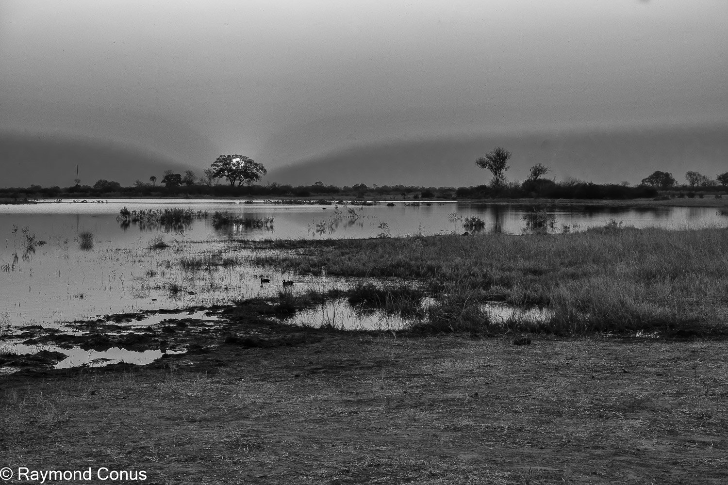 Paysages botswanais (41)