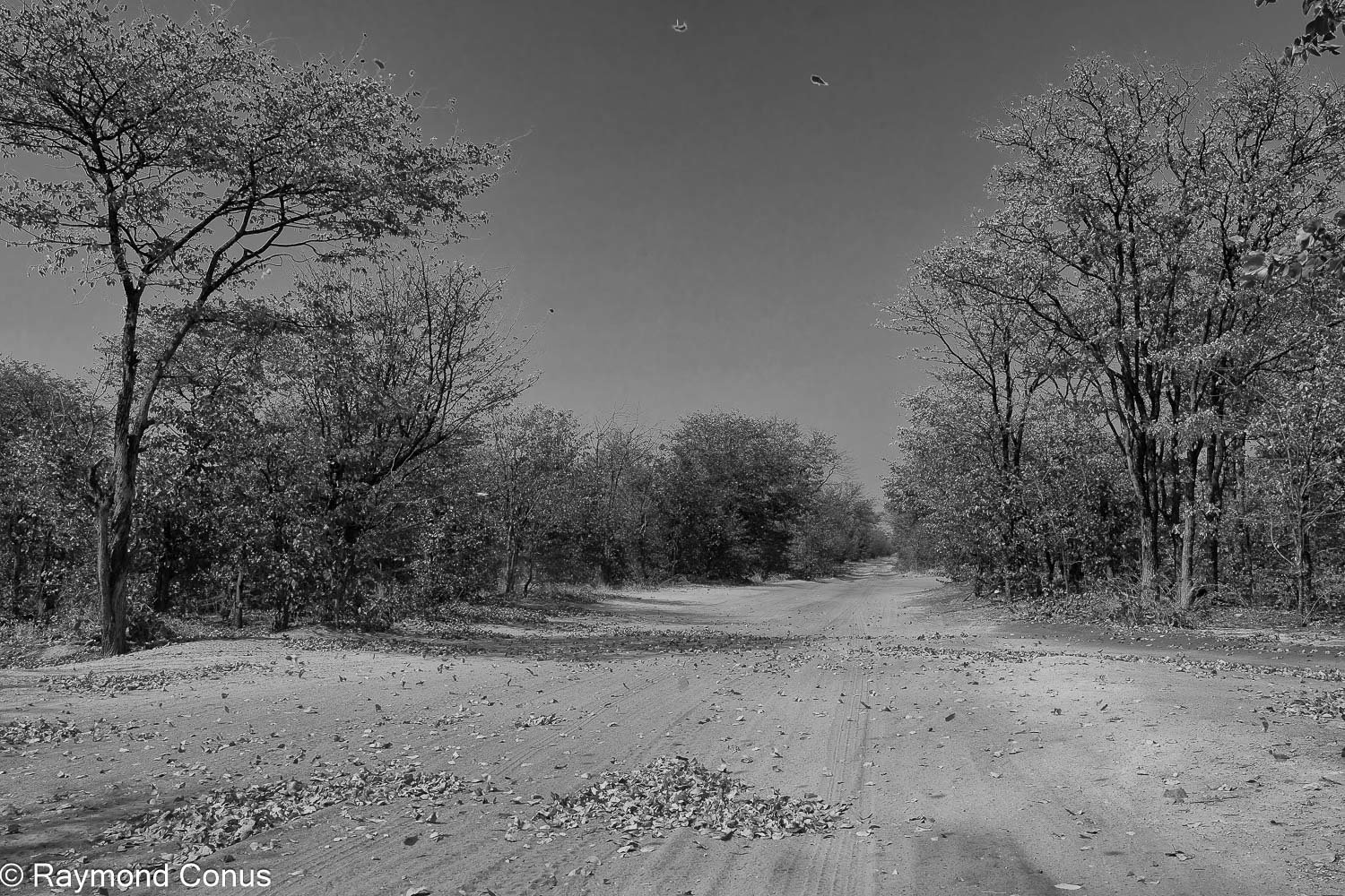 Paysages botswanais (43)