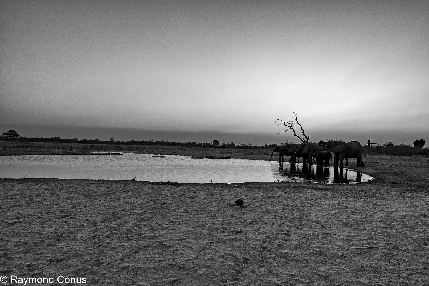 Paysages botswanais (47)