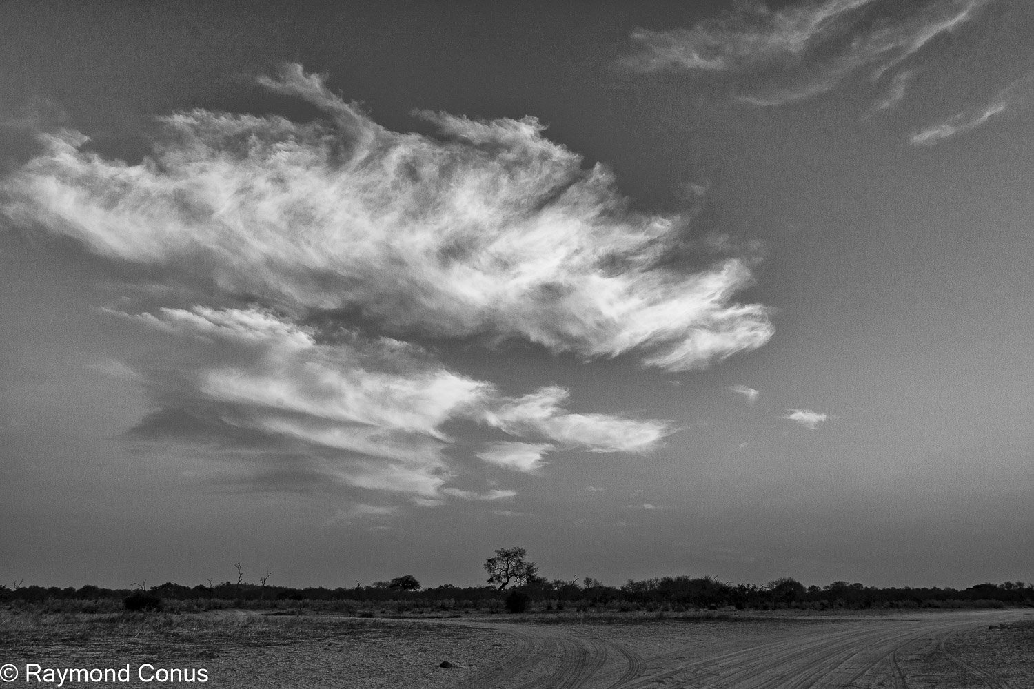 Paysages botswanais (49)