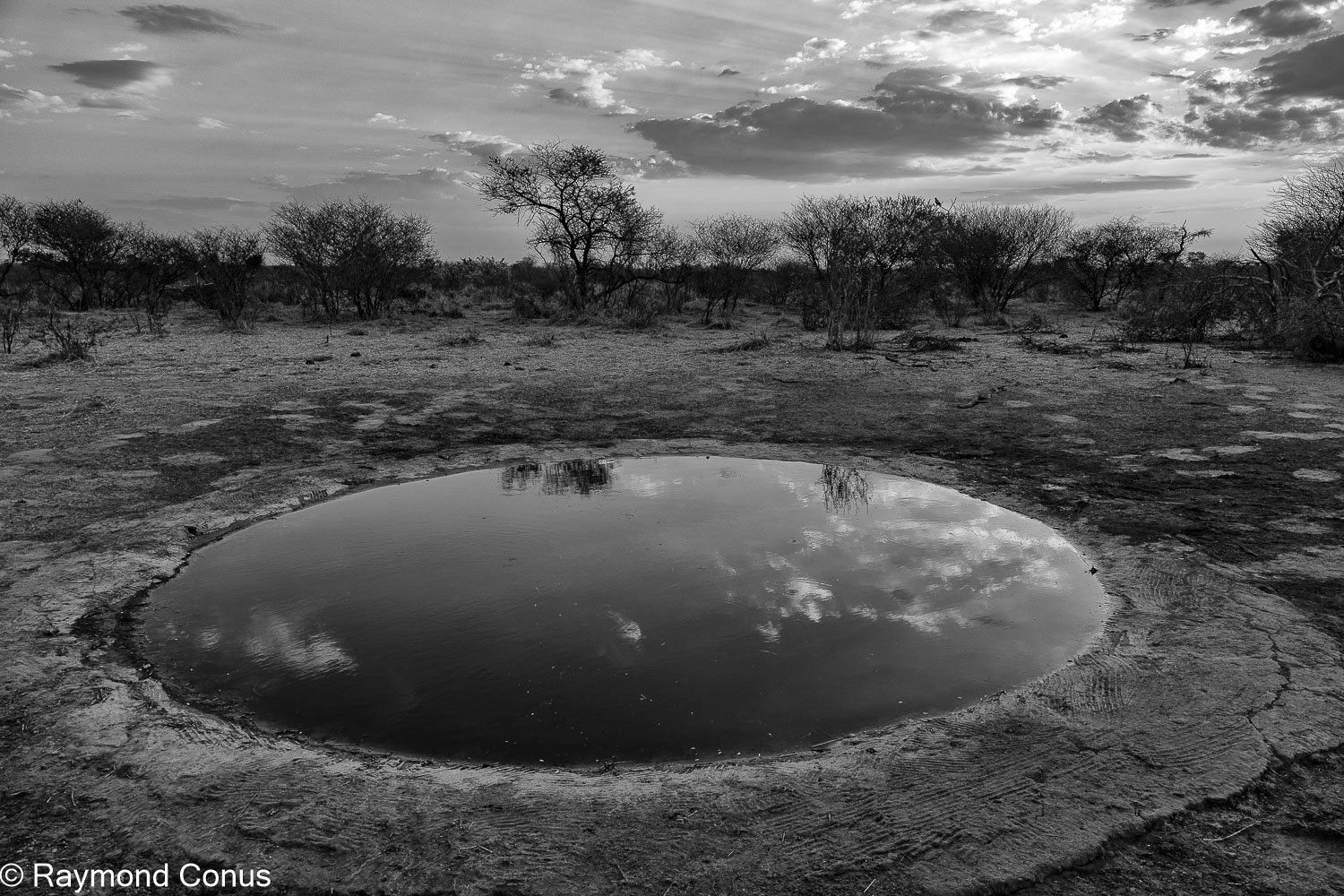 Paysages botswanais (4)