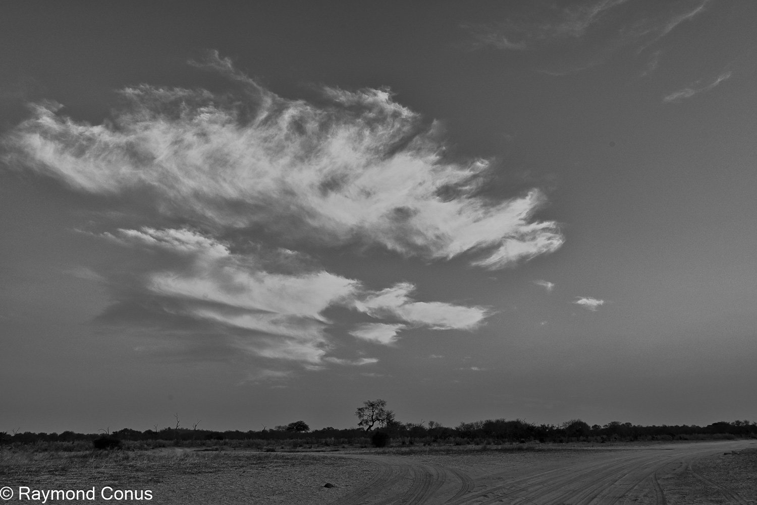 Paysages botswanais (50)