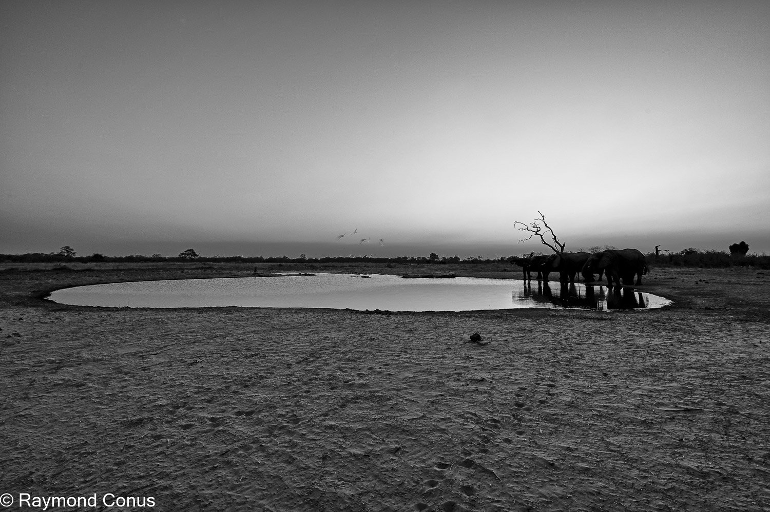 Paysages botswanais (51)