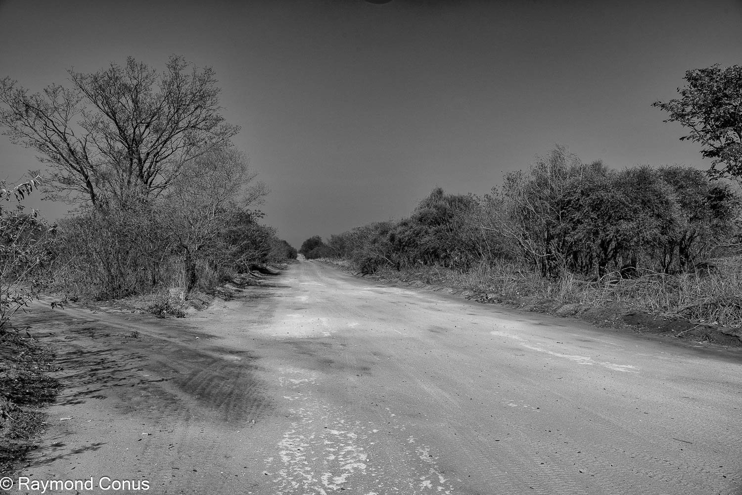 Paysages botswanais (54)