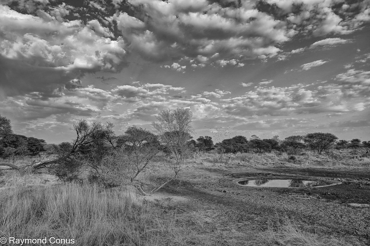 Paysages botswanais (5)