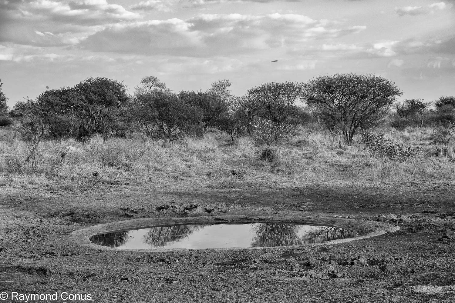 Paysages botswanais (7)