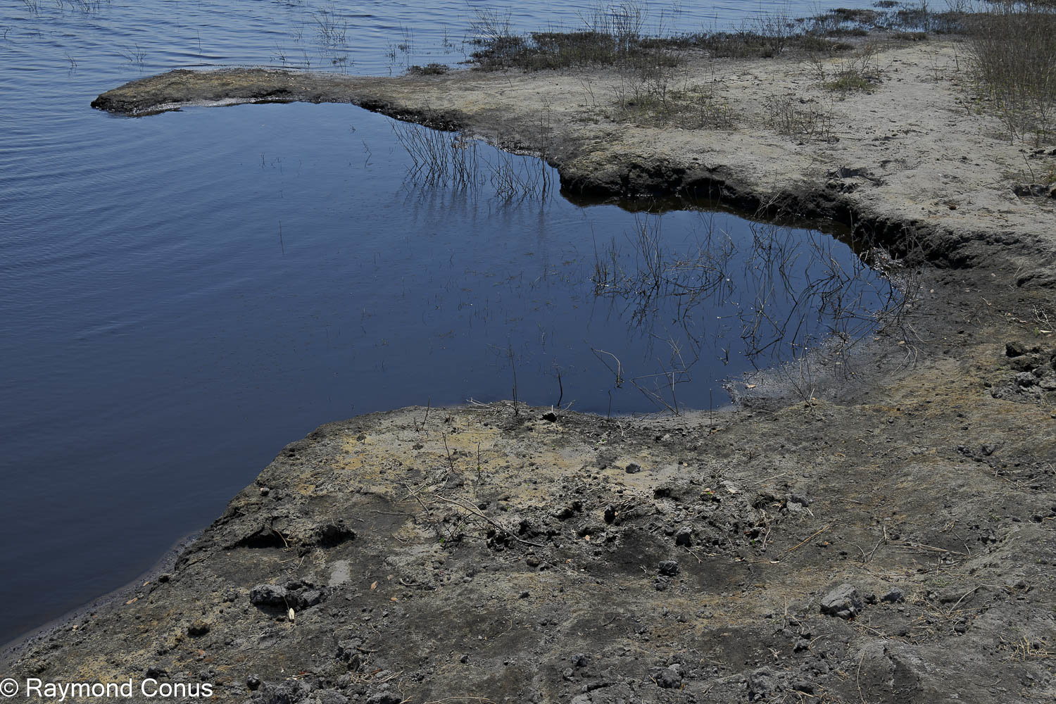 Chobe National Park (41)