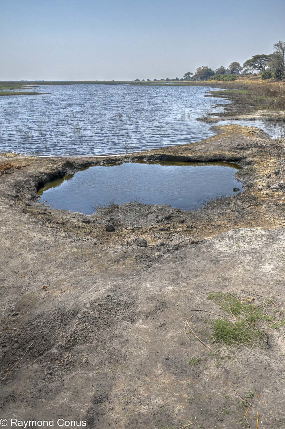 Chobe National Park (42)