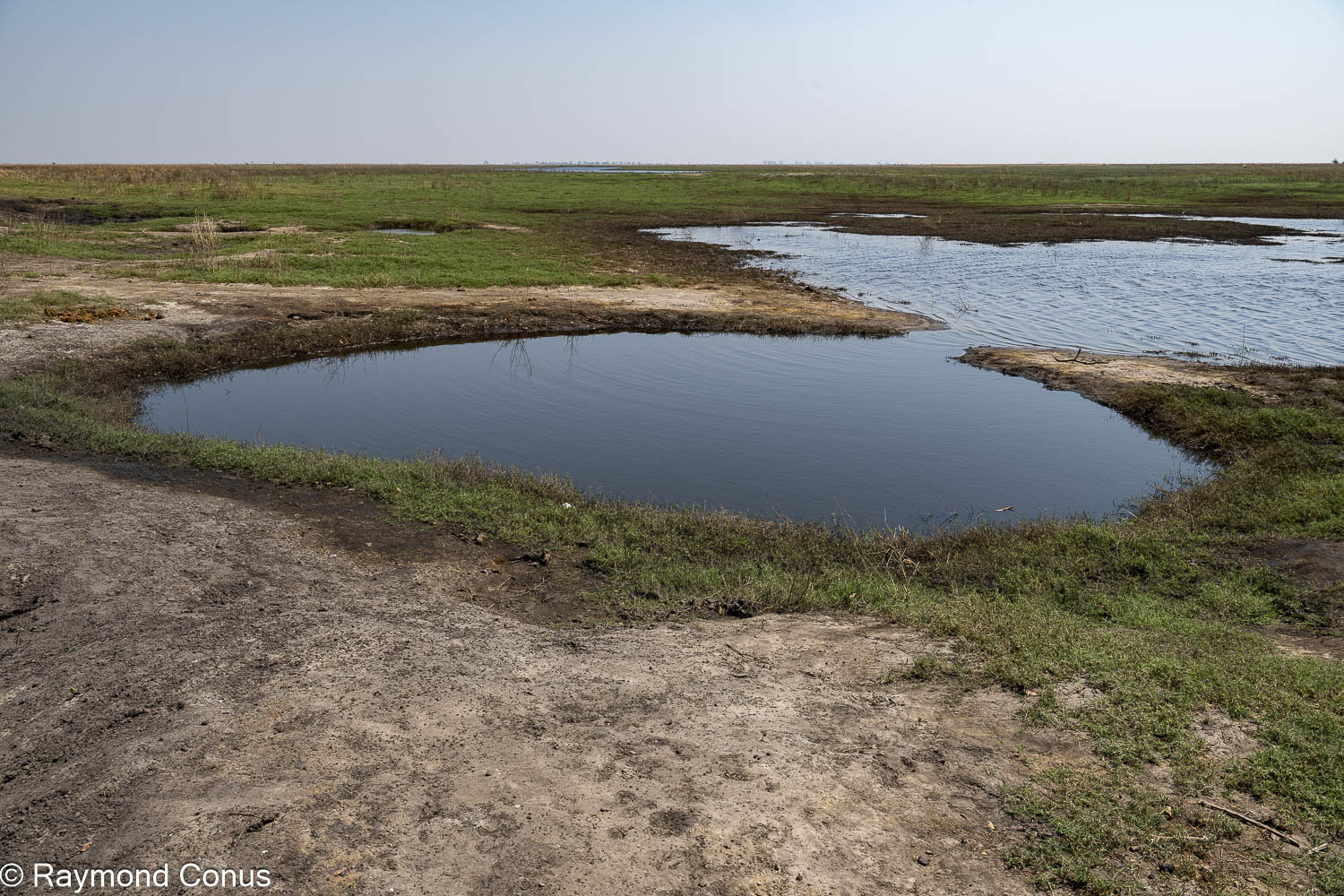 Chobe National Park (43)
