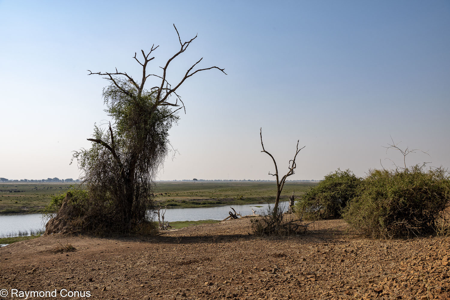 Chobe National Park (47)