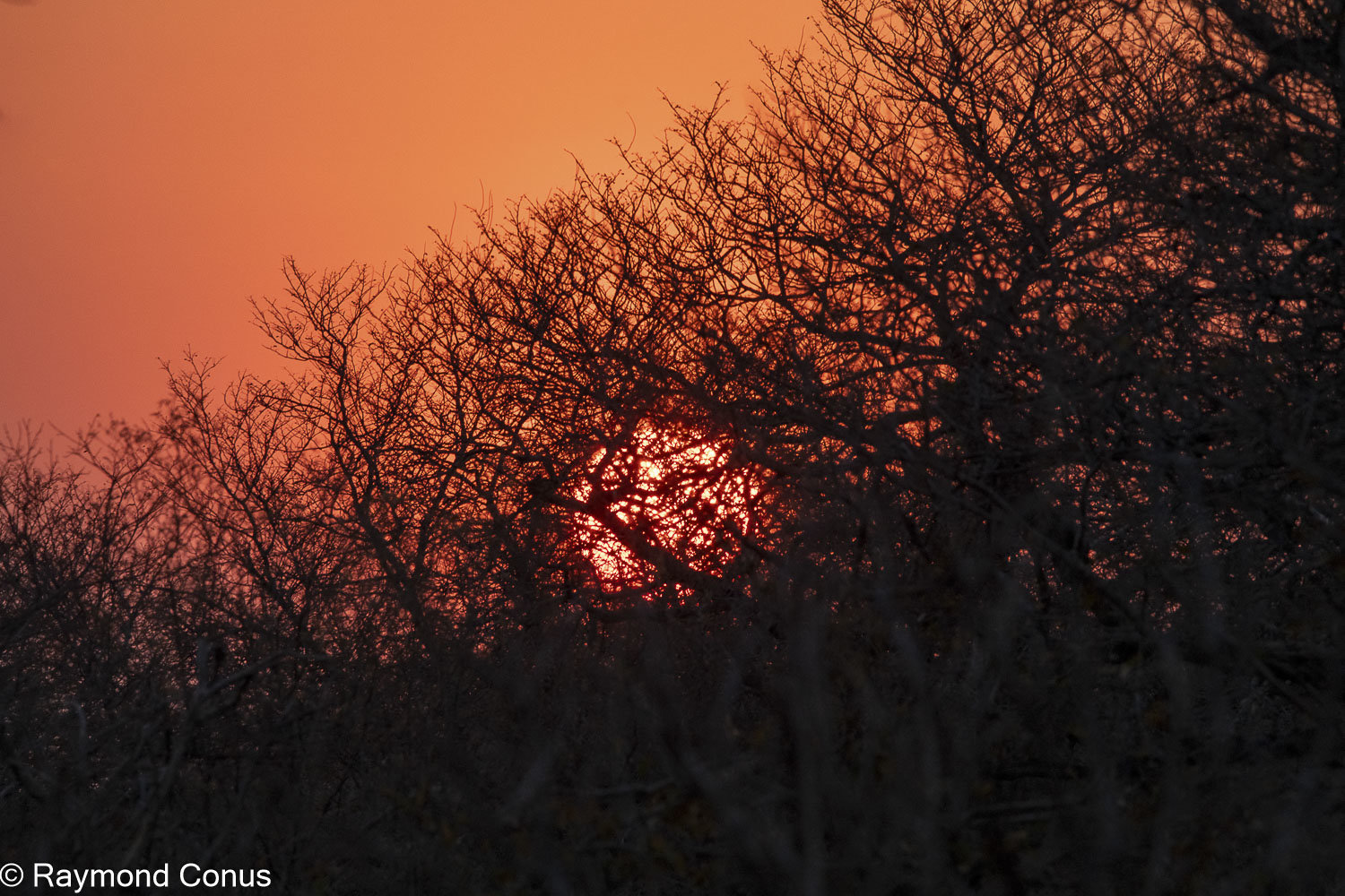 Chobe National Park (51)