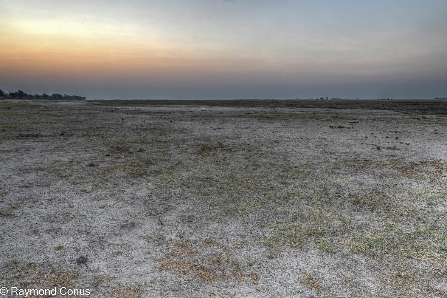 Chobe National Park (52)