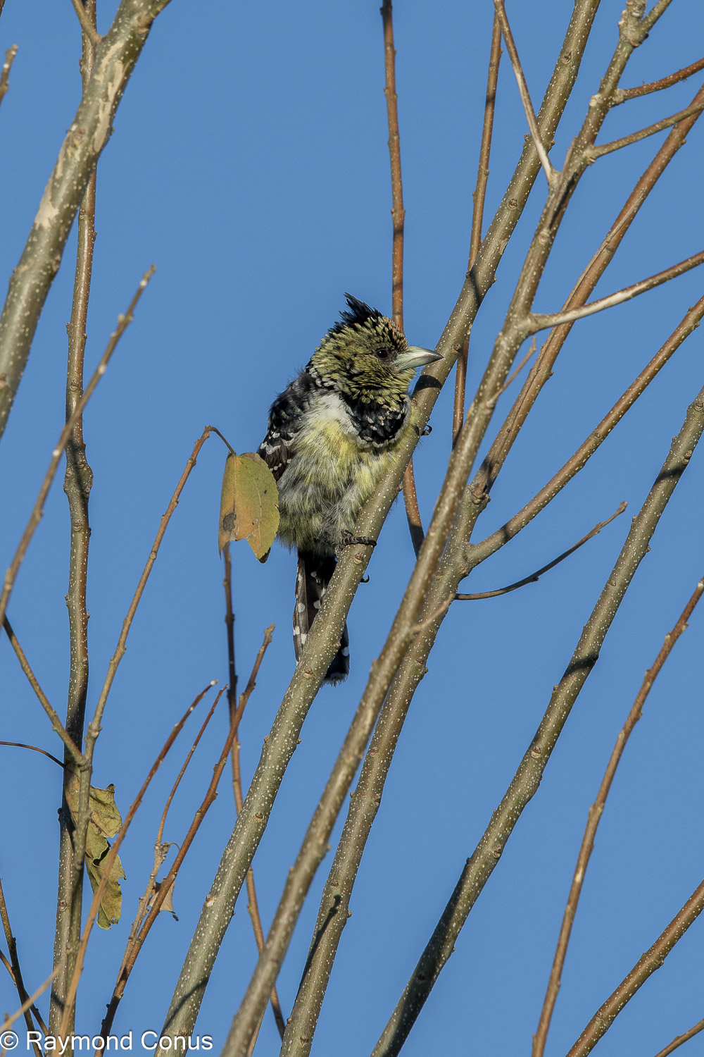 Le barbican promepic (1)