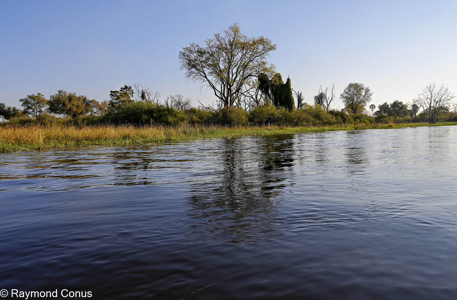 Delta de l'Okavango (10)