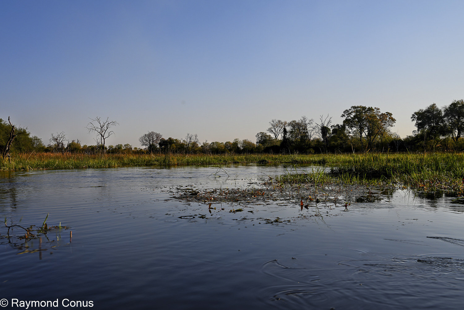 Delta de l'Okavango (11)
