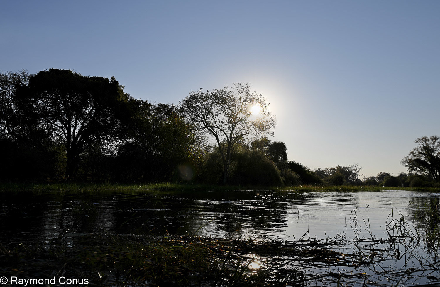 Delta de l'Okavango (12)