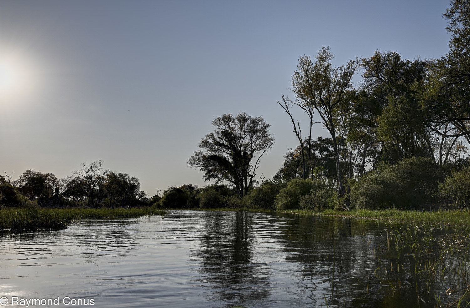 Delta de l'Okavango (13)