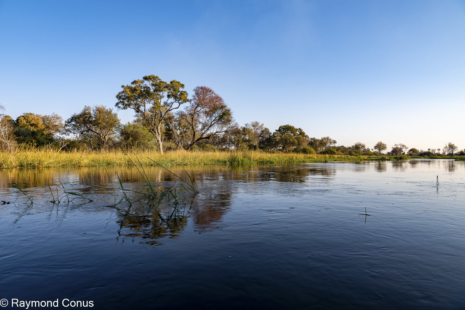 Delta de l'Okavango (14)