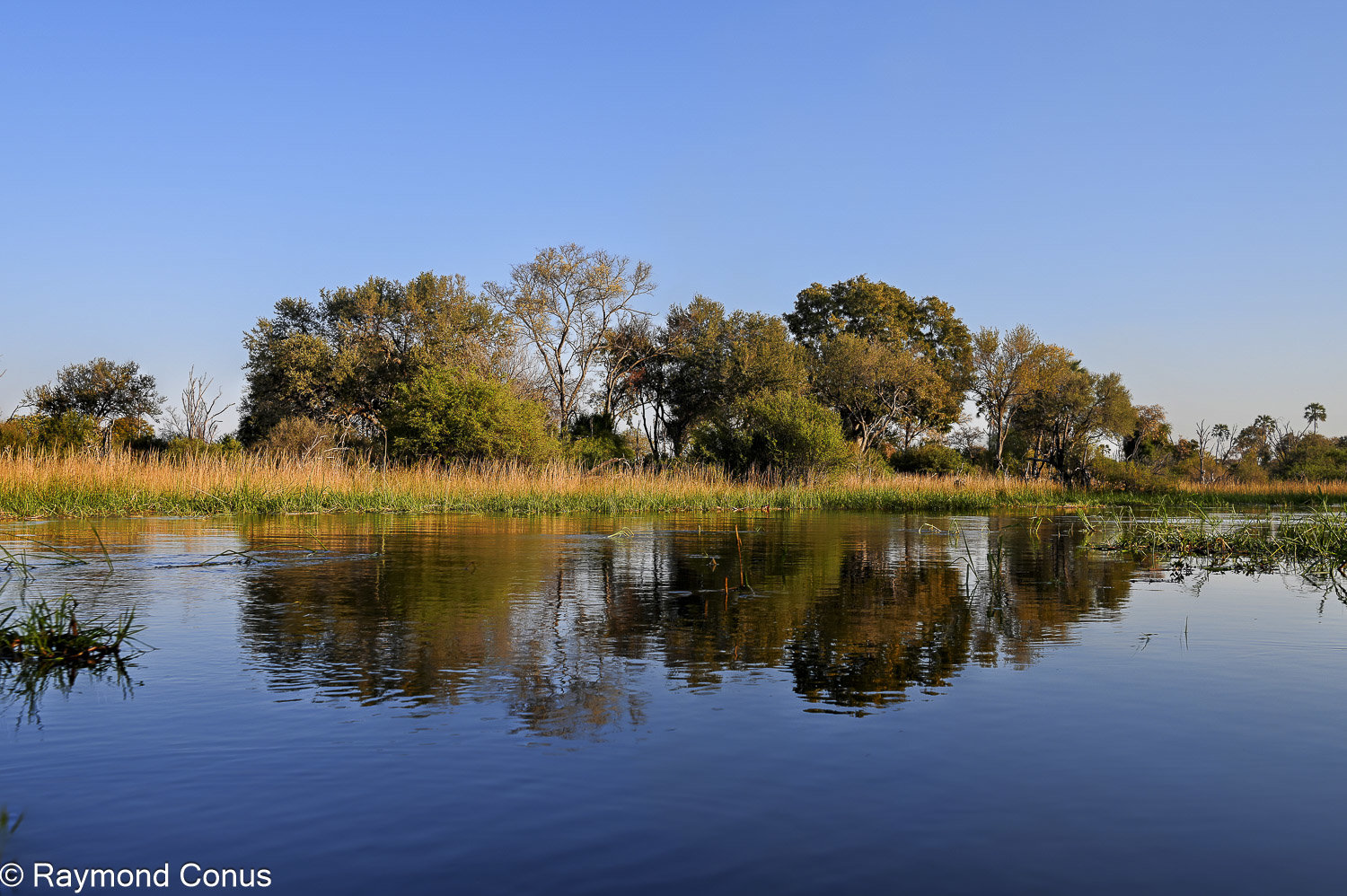 Delta de l'Okavango (15)