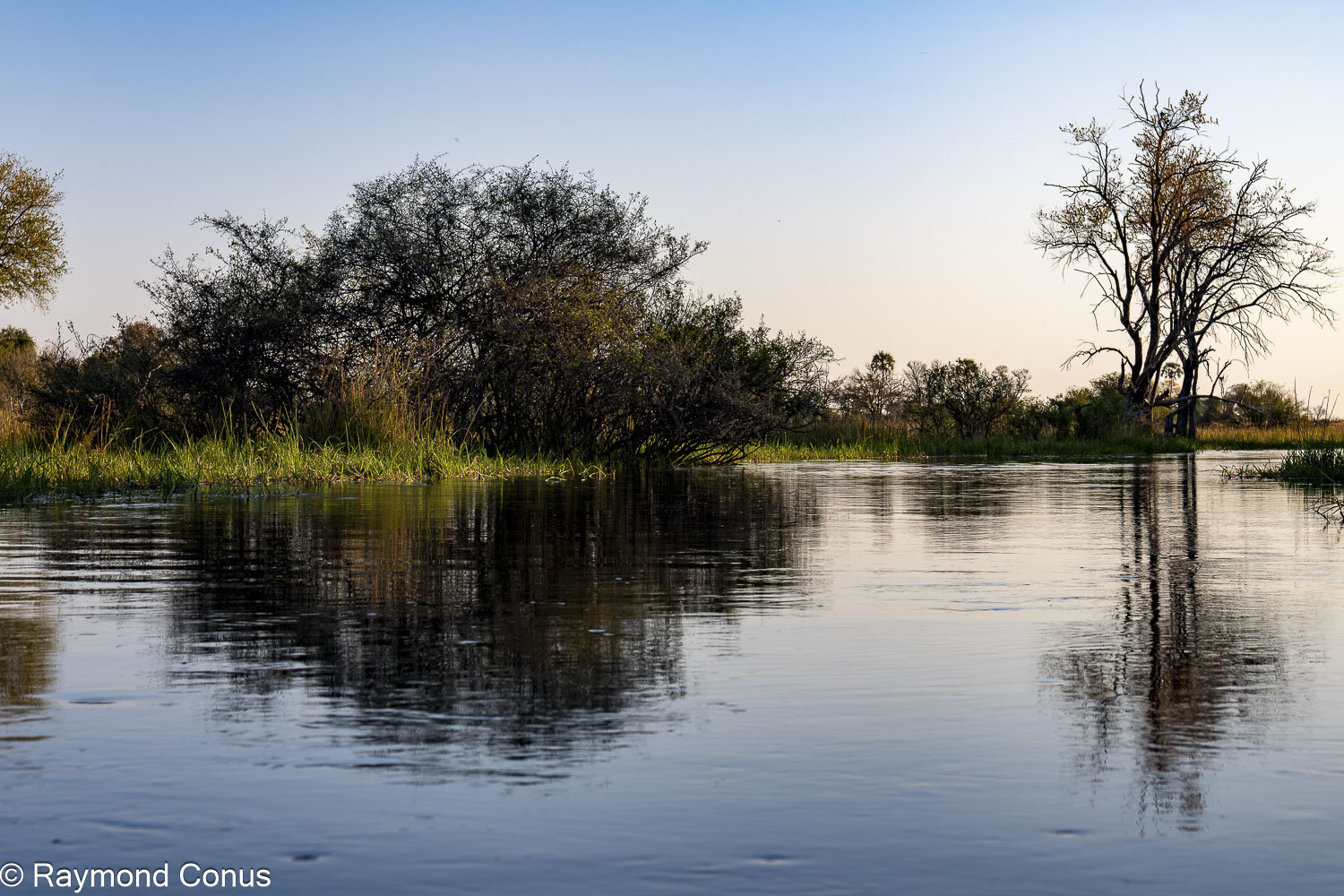 Delta de l'Okavango (16)