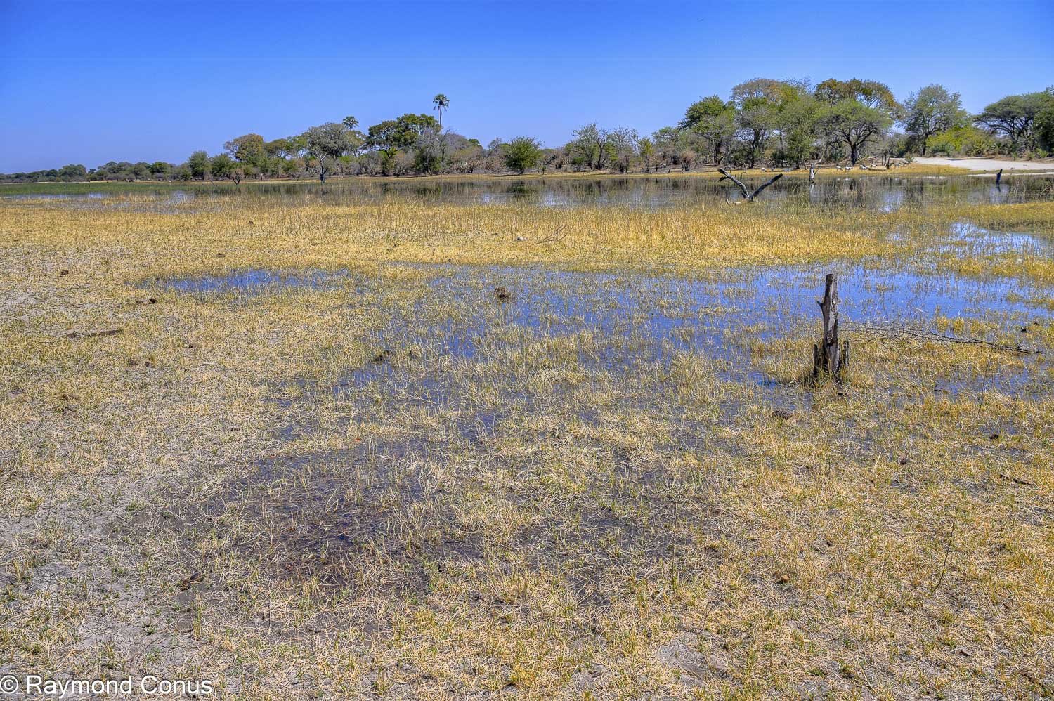 Delta de l'Okavango (1)