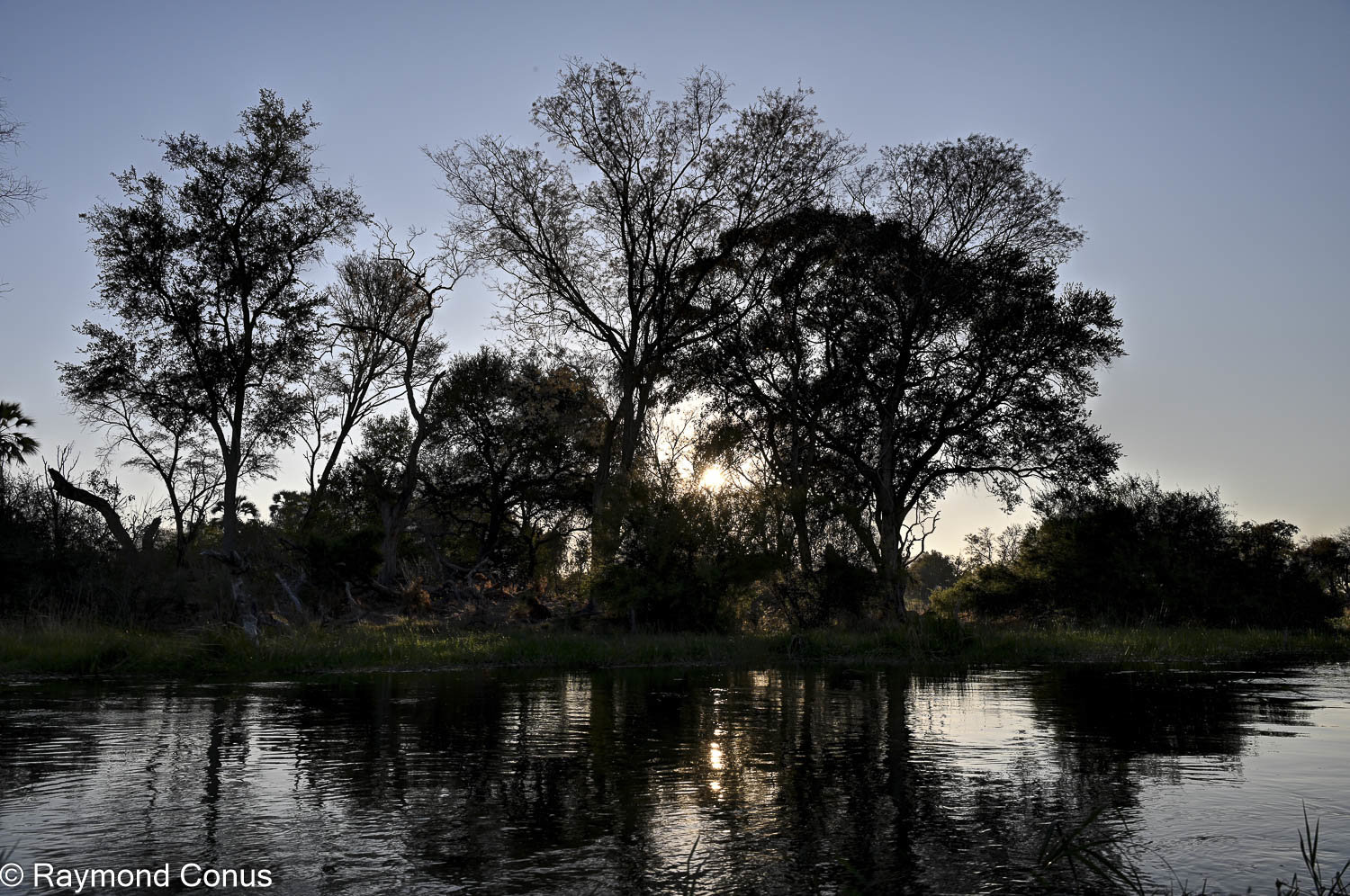 Delta de l'Okavango (22)