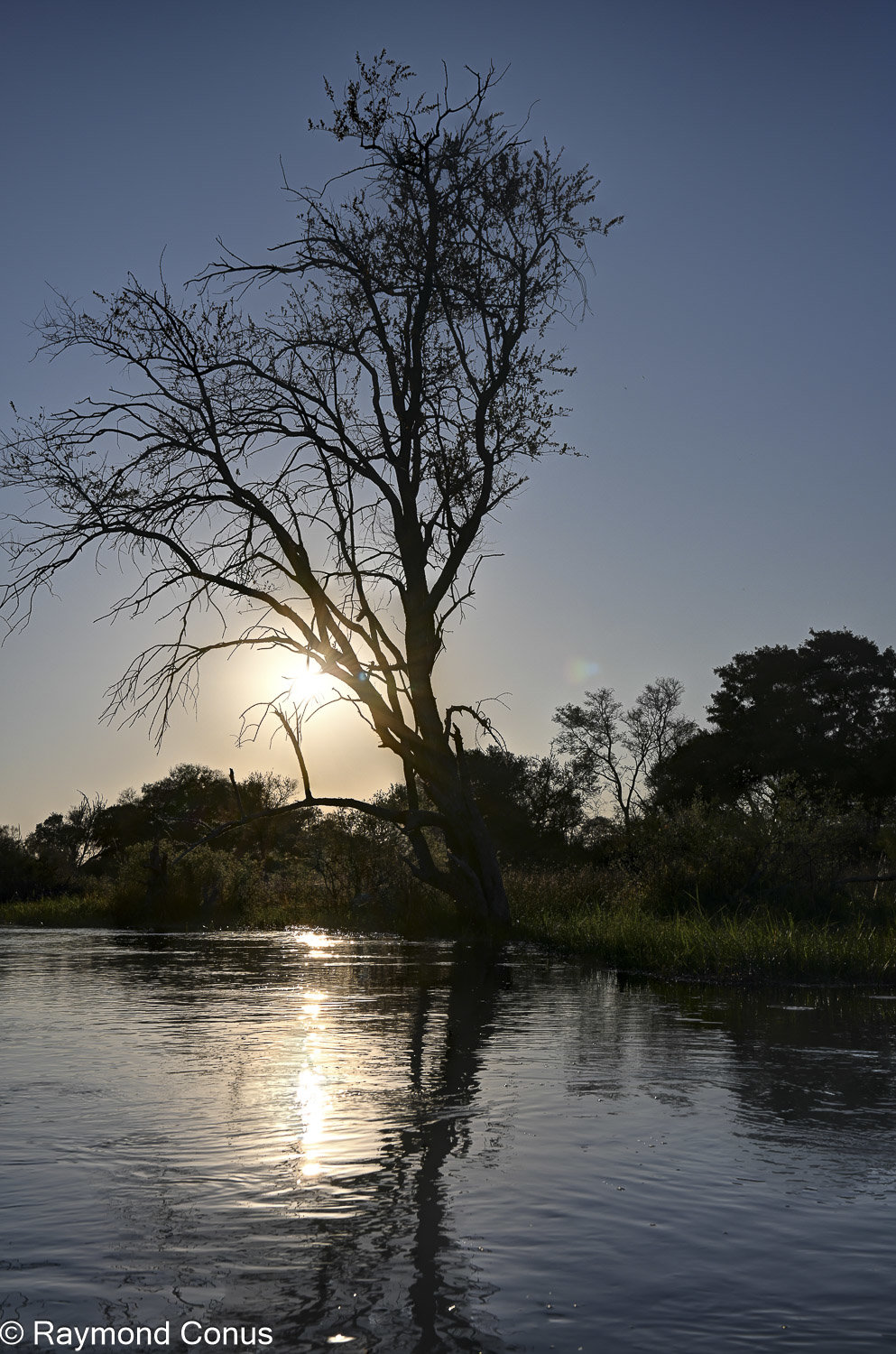 Delta de l'Okavango (24)