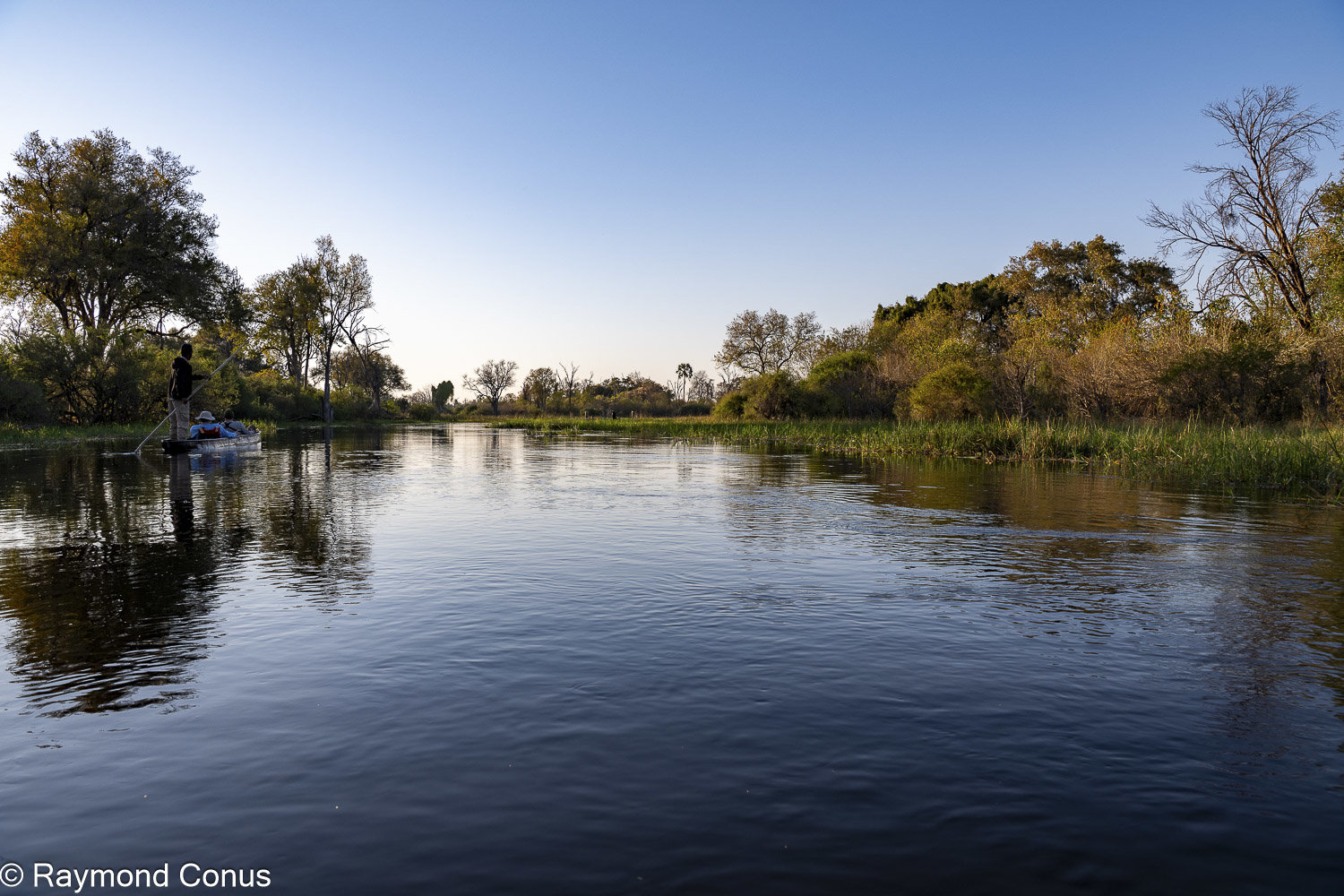Delta de l'Okavango (27)